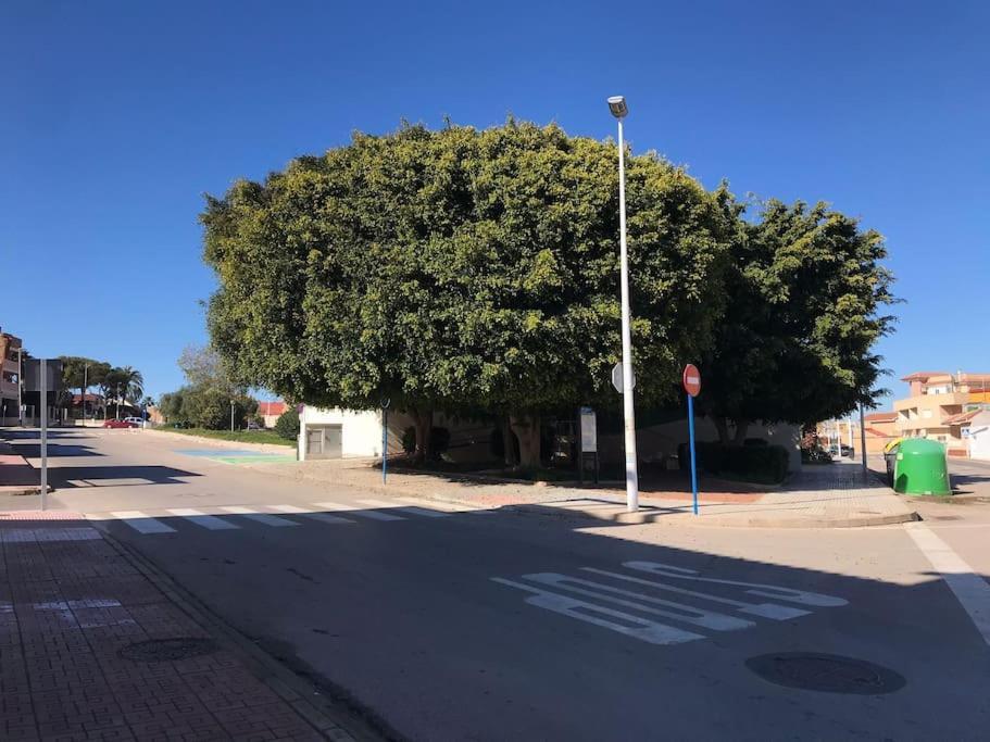 Apartamento En Los Nietos Con Piscina Comunitaria. エクステリア 写真